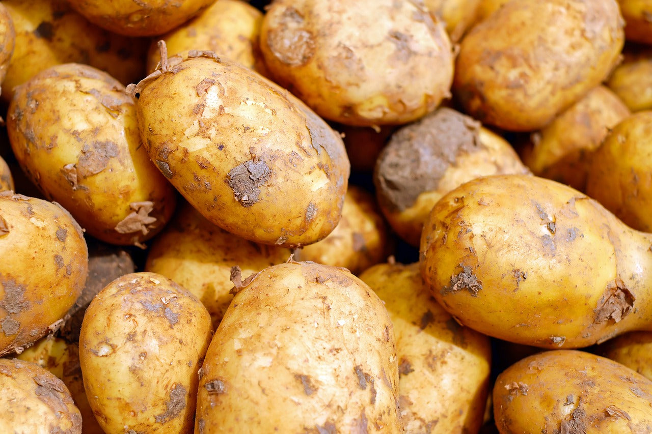 Potato (aalu)